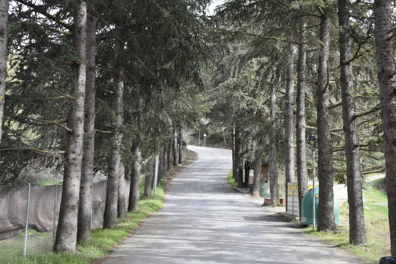 La Casa De Lya Villa Dudar ภายนอก รูปภาพ