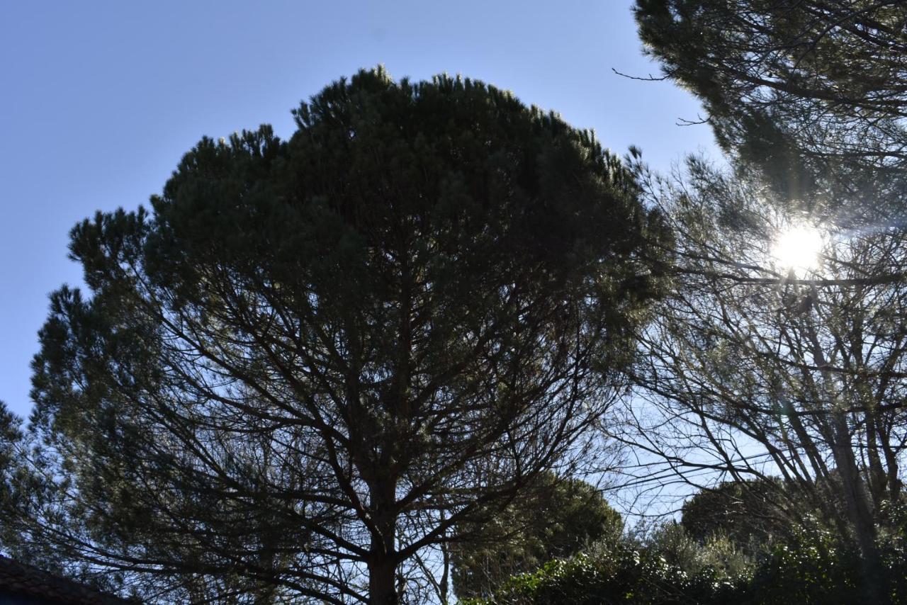 La Casa De Lya Villa Dudar ภายนอก รูปภาพ